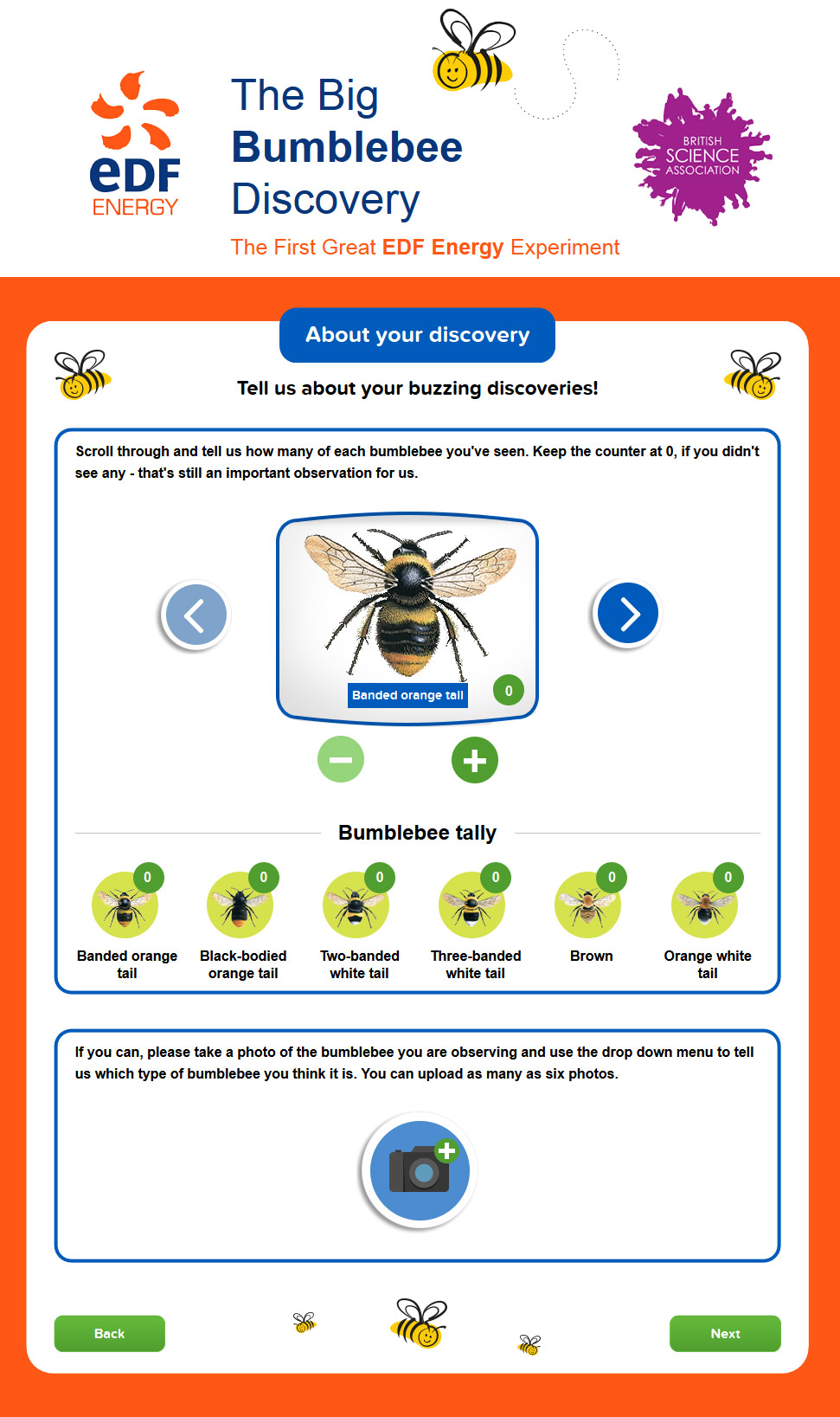 The Big Bumblebee Discovery screen 2